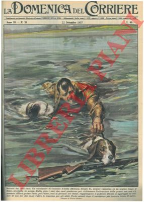 MOLINO W. - - Cacciatore di Cassano d'Adda precipitato nel fiume viene salvato dai suoi cani.