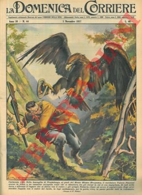 MOLINO W. - - Un cacciatore catturava un'aquila reale nella boscaglia di Pradalunga (BG) e la portava, viva, in paese.