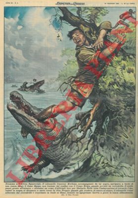 FERRARI R. - - Il colonnello francese Kerhoas navigava a bordo di una canoa lungo il fiume Mpopo, quando venne aggredito da un coccodrillo.