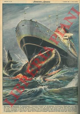 MOLINO W. - - Il transatlantico 