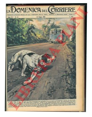 MOLINO W. - - Nel Mugello, morto Fido, il cane a cui era stata assegnata una medaglia d'oro ed eretto un monumento.