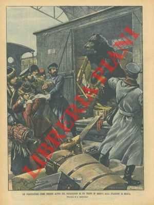 BELTRAME A. - - Orso clandestino trovato su un vagone merci di un treno.