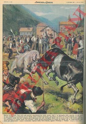MOLINO W. - - In Val d'Aosta, la battaglia delle mucche, una delle pi antiche manifestazioni delle nostre Alpi.