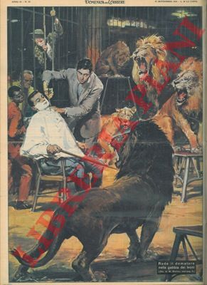 MOLINO W. - - Barbiere rade domatore nella gabbia dei leoni del Circo Togni, a Torino.