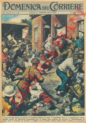 MOLINO W. - - I negri del Sud - Africa in rivolta soprattutto per la rigida linea politica del governo di Johannesburg.