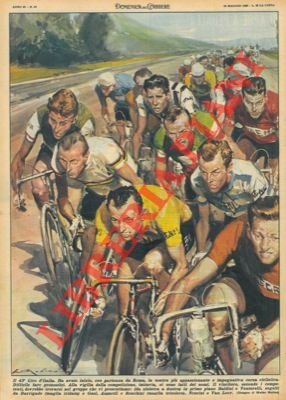 MOLINO W. - - Il 43 Giro d'Italia.
