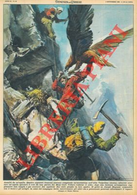 MOLINO W. - - Alpinista viene attaccato da un'aquila...