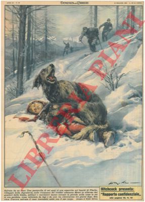 MOLINO W. - - Pastorella smarritasi nei boschi di Plache, villaggio della Jugoslavia, veniva salvata da un cane.