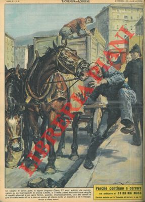 MOLINO W. - - A Trieste cavallo stacca un orecchio a un signore di 57 anni.