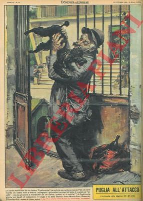 MOLINO W. - - A Montichiari un cane viene morsicato da un uomo.