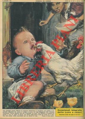 MOLINO W. - - A Luino, una gallina strappa via ad un bambino di due l'unico dentino che gli era spuntato da poco, scambiandolo per un chicco di riso.