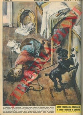 MOLINO W. - - Barboncino salva la vita alla padrona, che era stata investita da una scarica elettrica mentre stirava, staccando la spina.
