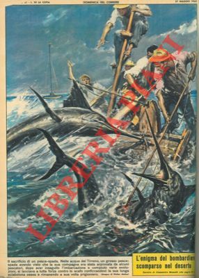 MOLINO W. - - Pesce spada, dopo aver visto che la sua compagna era stata arpionata, si lanciava contro lo scafo rimanendo prigioniero.