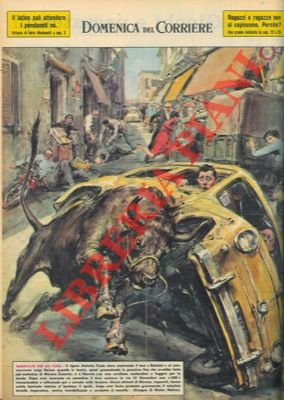 MOLINO W. - - Signore stava mostrando un toro a un commerciante, quando la bestia si liberava mettendosi a fuggire per le strade.