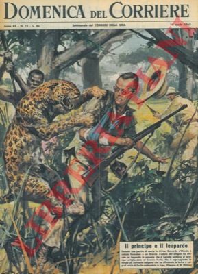 MOLINO W. - - Cacciatore ferito a un braccio veniva attaccato da un leopardo attirato dall'odore del sangue.