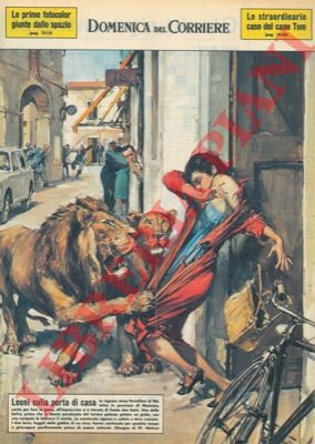 MOLINO W. - - A Matelica (MC) una signora uscita per fare la spesa si trova davanti alla porta di casa due leoni, uno dei quali le lacera il vestito. 