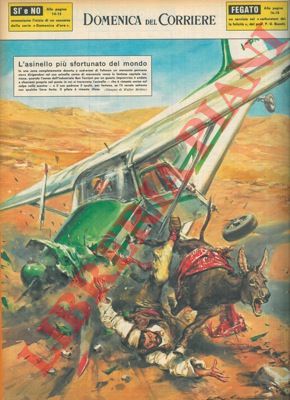 MOLINO W. - - Aereo cade in una zona deserta a sud-ovest di Teheran dove si trova un mercante col suo asinello, il quale muore sul colpo.