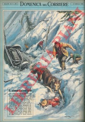 MOLINO W. - - All'Alpe di Siusi un cane da valanga rintraccia una ventunenne sotto tre metri di neve salvandole la vita.