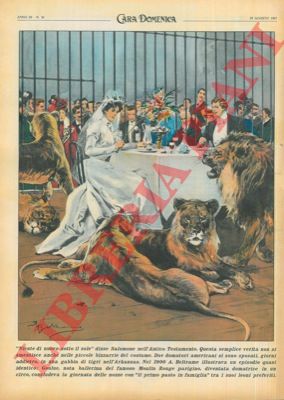 BELTRAME A. - - Ripetizione di una tavola di Beltrame del 1900 : un pranzo dentro la gabbia dei leoni.