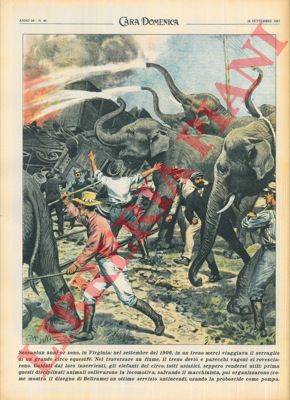 BELTRAME A. - - Ripetizione di una tavola di Beltrame del 1906 : spegnimento di un incendio ad un treno che trasportava un circo, usando gli elefanti come idranti.