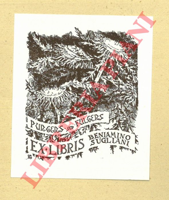 ANGELINI Luigi - - Ex libris Beniamino Sugliani.