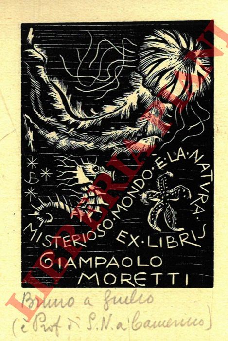 DA OSIMO Bruno - - Exlibris Giampaolo Moretti. Misterioso mondo  la natura.