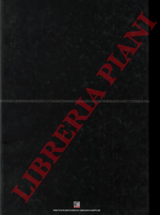 - - Art'E', progetto di bilancio d'esercizio e consolidato di gruppo 2002.