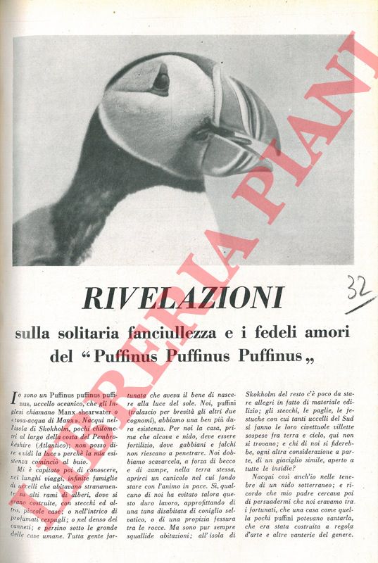 - - Rivelazioni sulla solitaria fanciulezza e i fedeli amori del 