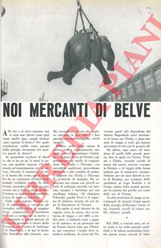 TERNI Arduino - - Noi mercanti di belve.