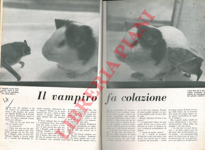 MONTANI Oscar - - Il vampiro fa colazione.