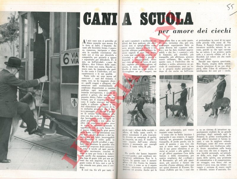 CATTANEO Margherita - - Cani a scuola per amore dei ciechi.