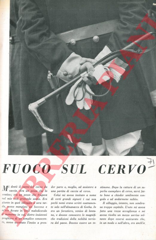 - - Fuoco sul cervo.