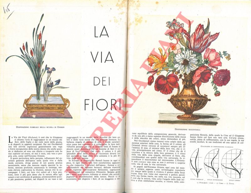 COSOMATI Ettore - - La via dei fiori.