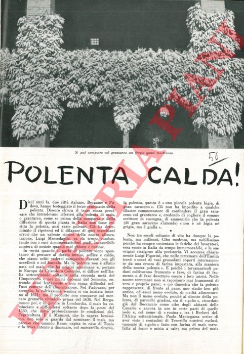 SILVESTRI Giuseppe - - Polenta calda.