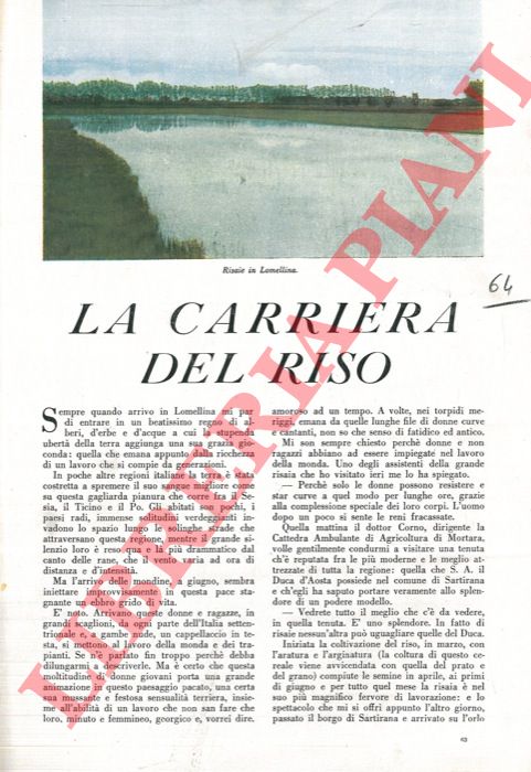 LINATI Carlo - - La carriera del riso.