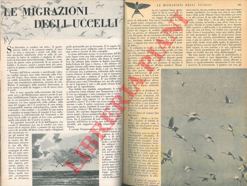 FIORI Pacifico - - Le migrazioni degli uccelli.
