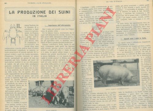 MORESCHI Bartolomeo - - La produzione dei suini in Italia.
