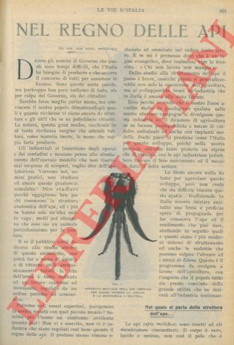 RASTELLI Eugenio - - Nel regno delle api.