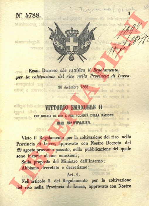 Regio Decreto - che ratifica il Regolamento per la coltivazione del riso nella Provincia di Lucca.