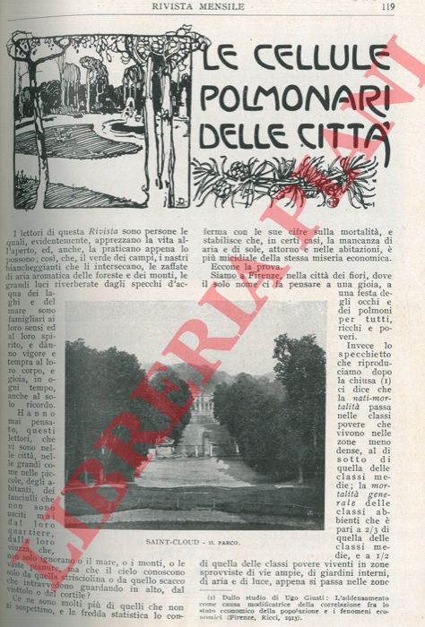 SCHIAVI Alessandro - - Le cellule polmonari delle citt.