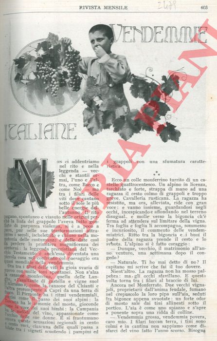 SACCHETTI Renzo - - Vendemmie italiane.
