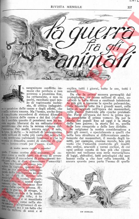 ARESCA Enrico - - La guerra fra gli animali.