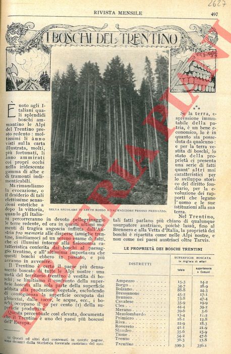 SEGALA Giacomo - - I boschi del Trentino.