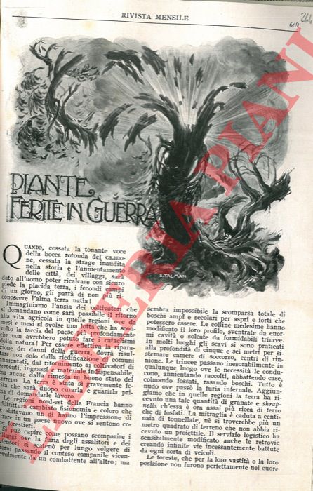 ARESCA Enrico - - Piante ferite in guerra.