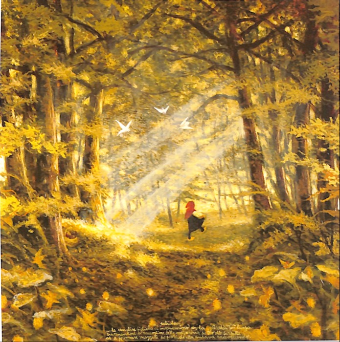 PERRAULT Charles - GRIMM Jacob e Wilhelm - COLLODI Carlo - SALIOLA Antonio - Le Petit Chaperon Rouge.